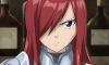 Who would be the best partner for Erza?