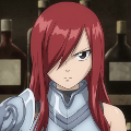 Who would be the best partner for Erza?