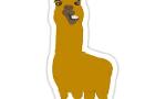 Are llamas cool