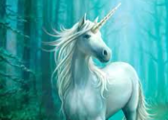 Unicorns or Pegasus?