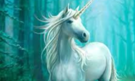 Unicorns or Pegasus?
