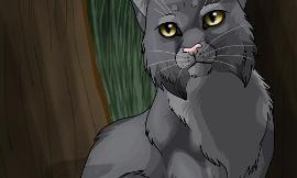 What is your favorite warrior cat?
