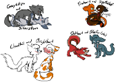 Which pair of warrior cats are best together?