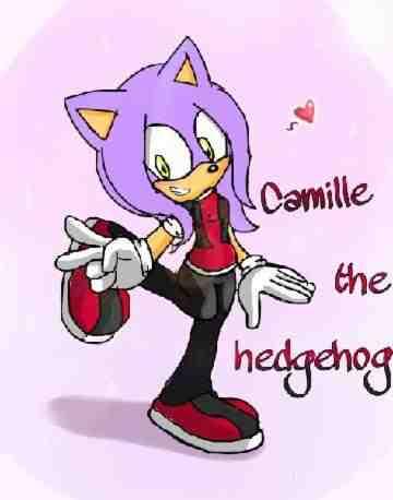 What Should Camille The Hedgehog's Theme Song Should Be?