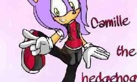 What Should Camille The Hedgehog's Theme Song Should Be?