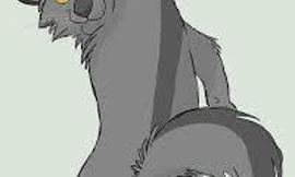 Who is better for Graystripe?
