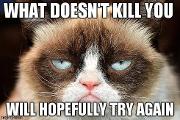 What grumpy cat meme makes you laugh more?