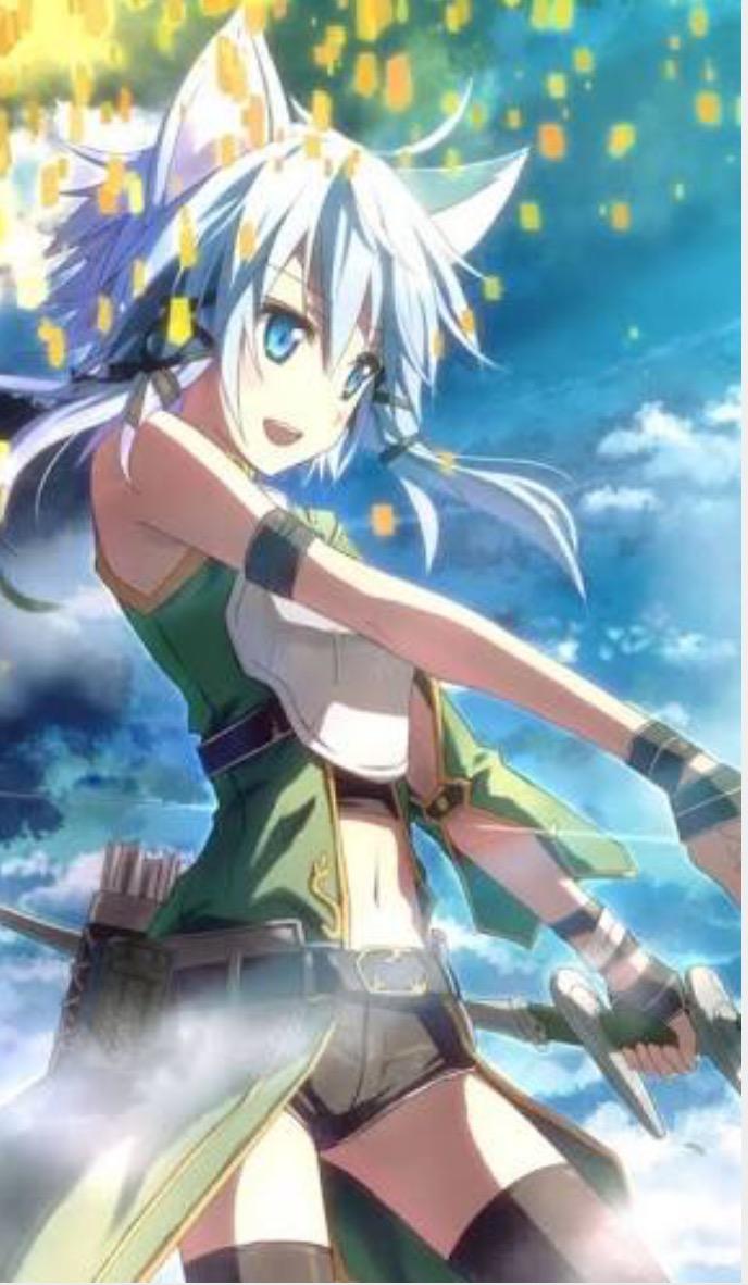 Sword art online Sinon?