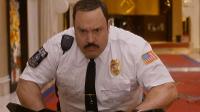 Did you enjoy the movie Paul Blart: Mall Cop 2?