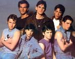 The Outsiders - Favorite Greaser