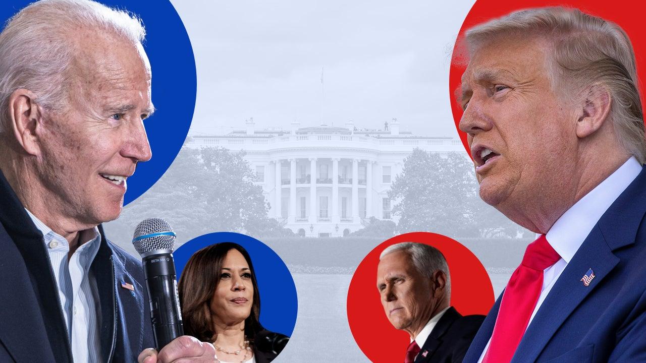 Biden or Trump? (1)