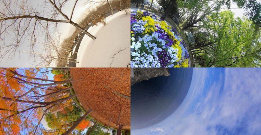 what is your favorite season? (3) what is your favorite season? (3)