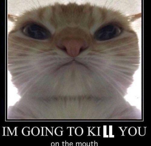if this was dongusrongus which of us would murder somebody first if this was dongusrongus which of us would murder somebody first