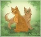 Which Warrior cat couple is better?