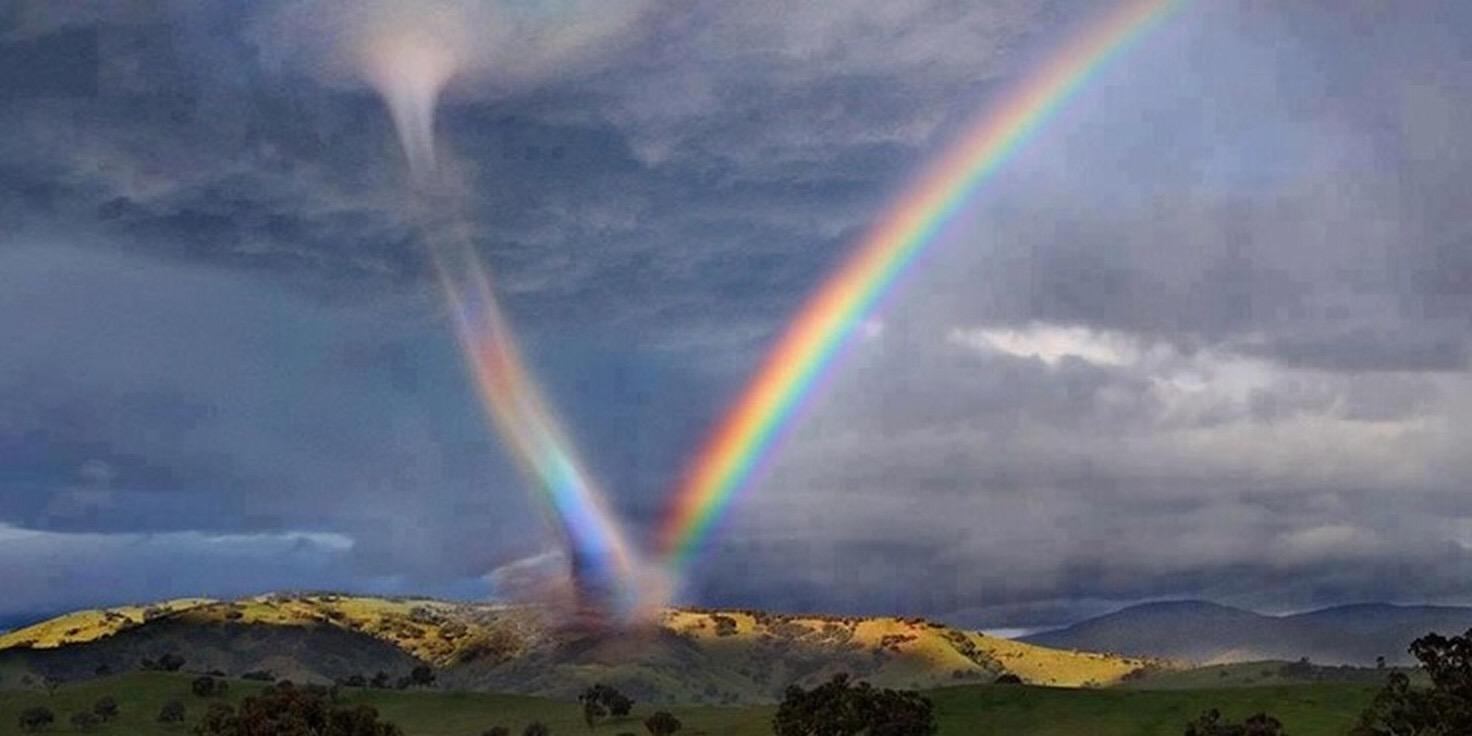 Which Disaster is the Most Effective? Which Disaster is the Most Effective?