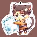 What Levi Ackerman Picutre Is Most Cuter ?