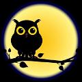 Are you a night owl?