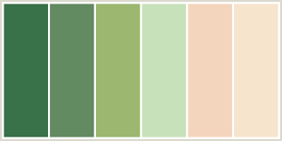 Do you like Peach or Green Do you like Peach or Green