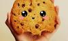 Wich cookie Looks better and tasts better :3?