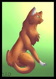 What do you think of Squirrelflight?