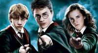 who do you like best in harry potter?