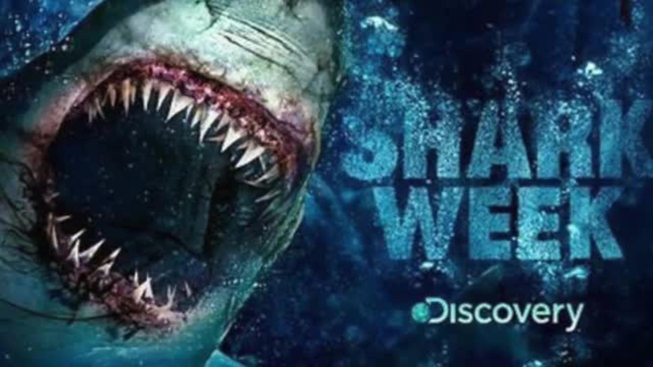 Do You Like Shark Week