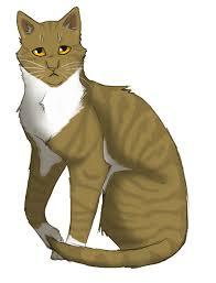 Is Leafpool better or worse than Yellowfang Is Leafpool better or worse than Yellowfang