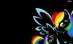 what do you think about rainbow dash?