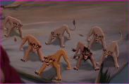 How do you think Simba choose which lions to exile?