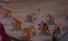 How do you think Simba choose which lions to exile?