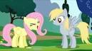 Cool_Derpy or Cool_fluttershy?