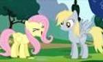 Cool_Derpy or Cool_fluttershy?