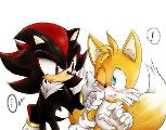 Who is better: Tails or Shadow?