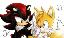 Who is better: Tails or Shadow?