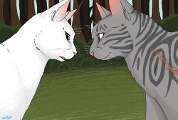 Who is your favorite Warrior Cats couple?