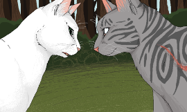 Who is your favorite Warrior Cats couple?