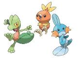 Which Third Generation Starter Pokemon?