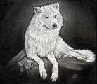 What rate (from 1 to 10) Would you give a wolf?