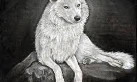 What rate (from 1 to 10) Would you give a wolf?