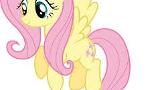 What Fluttershy Human Is The Best?