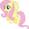 What Fluttershy Human Is The Best?