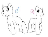 Which are you?A colt/boy or a mare/girl?