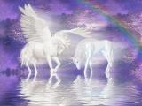 Unicorns or Pegasus? (1)
