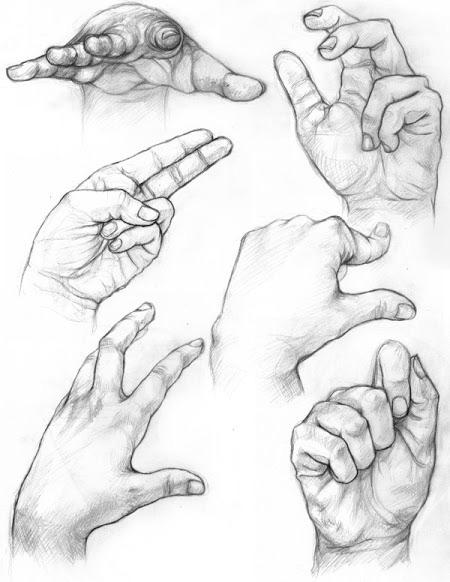 Which is Your Dominant Hand?