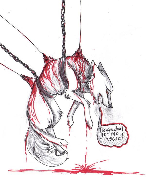 Demon Wolf or Angel Wolf? Demon Wolf or Angel Wolf?