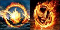Hunger Games or Divergent? (1)