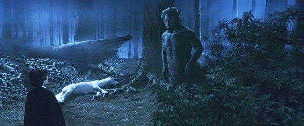 Do you like the unicorns in Harry Potter? Do you like the unicorns in Harry Potter?