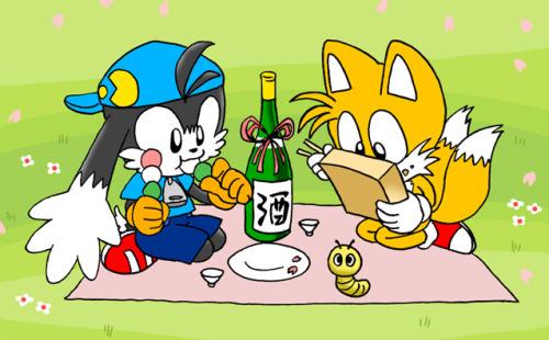 Tails vs Klonoa!