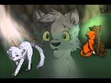 If you where squirrelflight who would you choose?