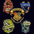 Which character do you like most in harry potter?